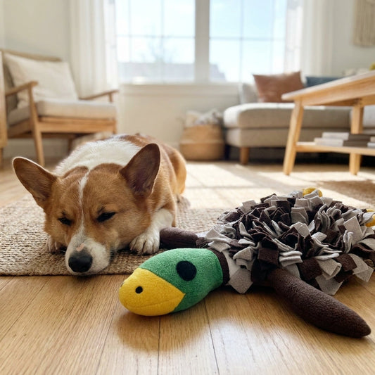Naravy Duck Snuffle Mat for Dogs
