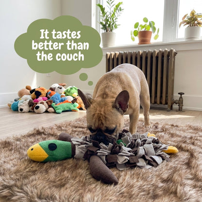 French Bulldog eating from duck snuffle mat - it tastes better than the couch