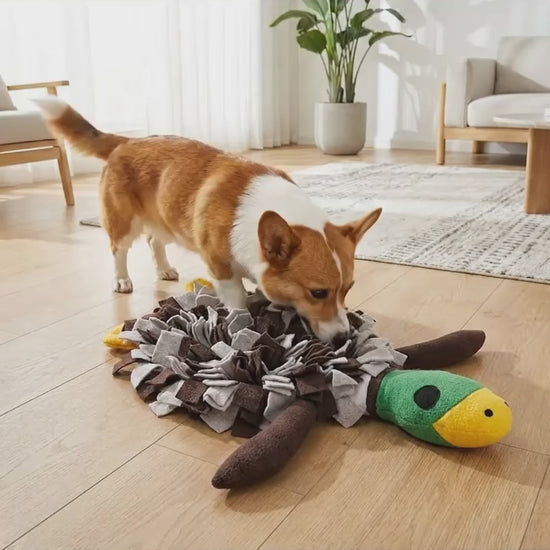 Naravy Duck Snuffle Mat in action